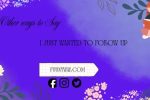 other ways to say I just wanted to follow up