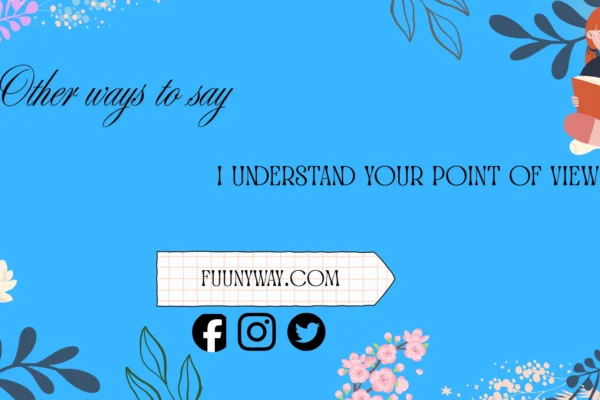 other ways to say I understand your point of view