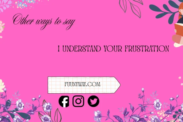 other ways to say I understand your frustration