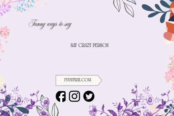 funny ways to say crazy person