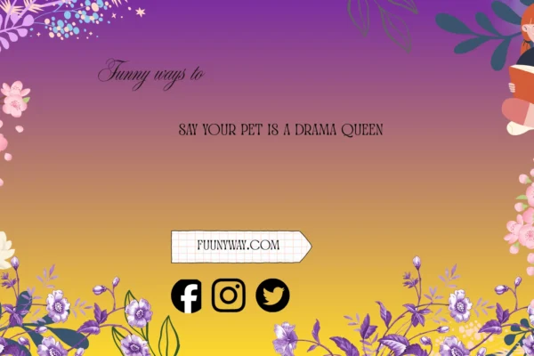 Funny Ways to Say Your Pet Is a Drama Queen